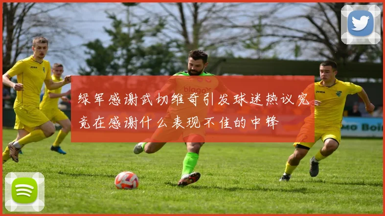 绿军感谢武切维奇引发球迷热议究竟在感谢什么表现不佳的中锋
