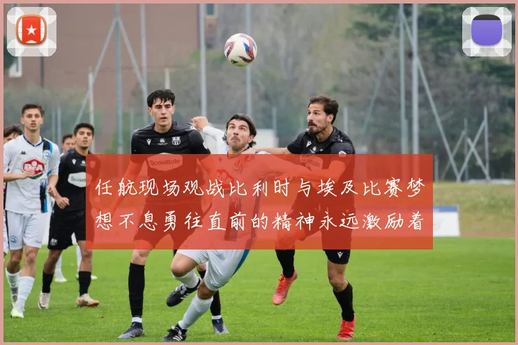 任航现场观战比利时与埃及比赛梦想不息勇往直前的精神永远激励着我们
